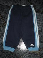 CIMG0743.jpg
