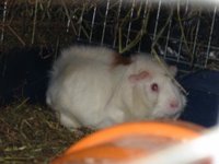 weisseSeite01.jpg