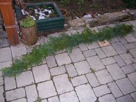 Girlande aus tannengrün binden - Die besten Girlande aus tannengrün binden im Überblick
