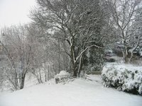 Schnee2008-01.jpg