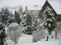 Schnee2008-02.jpg