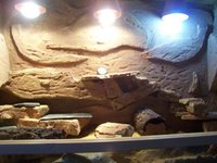 100_2409.jpg