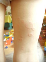 weihnachten 2008 246.jpg