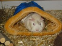 Kuschelsack01.jpg