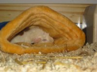 Kuschelsack02.jpg