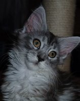 Bahie-12w.jpg