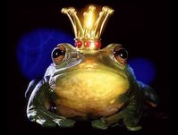 frosch.jpg