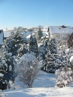 Schnee2009-02-14a.jpg