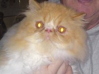 DSC00084.jpg