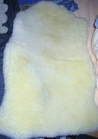 Schnullis 004.jpg
