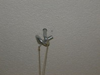DSC06279.jpg