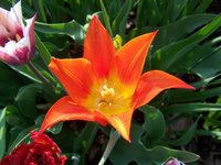 100_4755.JPG