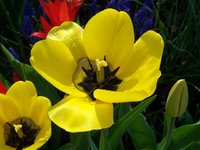 100_4757.JPG