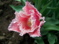 100_4840.JPG