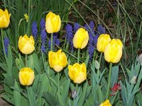 100_4866.JPG