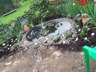 100_4911.jpg
