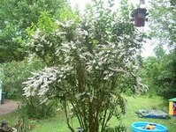 DSCN1493.JPG