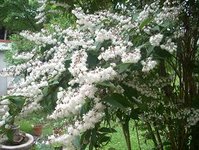 DSCN1494.JPG