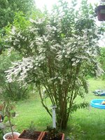 DSCN1492.jpg