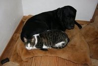 Img_1471.jpg