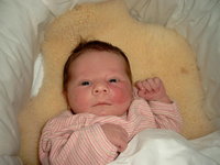Bild0372.jpg