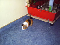 Mukki & Snoopy 001.jpg