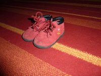 P1000339.jpg
