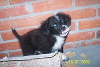 100_9357.jpg