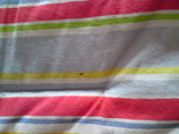 DSC00127.jpg