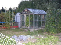 papai geburtstag + garten 083.jpg