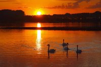 20090829-IMG_0015.jpg