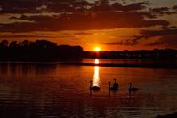 20090829-IMG_0016.jpg