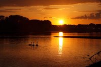 20090829-IMG_0010.jpg