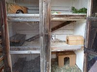 k-P1120731.jpg