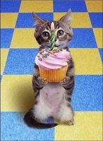 Katze-mit-Geburtstagstorte.jpg
