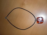 CIMG2829_(500_x_600).jpg