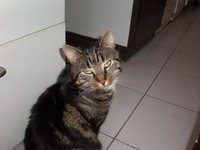 P5050037.jpg