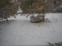 P1010006.jpg