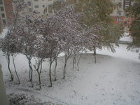 P1010007.jpg