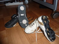 P1020194.jpg