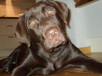 DSCF2312.jpg