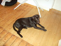 DSCF2359.jpg