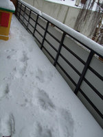 schnee9181.jpg