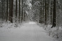 2010-01-03 Winterbilder 018.jpg