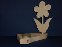 2010_0114Januar0025.jpg