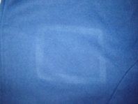 DSC08032.jpg