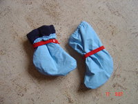 DSC06127.jpg