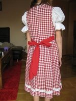 Trachtenkleid hinten 1.jpg