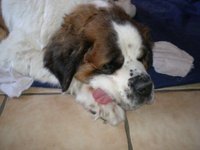 lilly auf droge.jpg