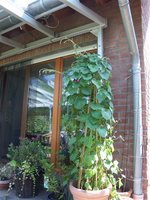 PICT0004 (Small).JPG